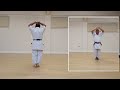 bassai kata wado ryu karate kata only