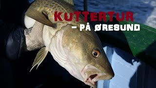 Kuttertur med A-Catch - Øresund (april 2015)