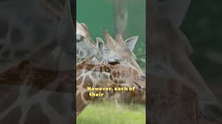 Giraffe Necks Unveiled: Remarkable Anatomy in Seven Vertebrae #facts #animals #didiyouknow