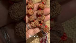 Indonesian 1-14 Mukhi Siddha Rudraksha Mala Small Size Beads what’s app on 9104110735 #rudraksha