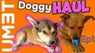 Ep 1: FUN DOG Products, Dog Toy Test and Awesome Tips: TEMU HAUL REVIEW