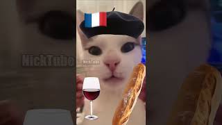 French Cat vs. Italian Cat 🇫🇷🇮🇹