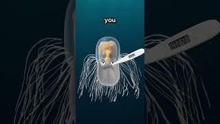 Animals With Depressing Lives