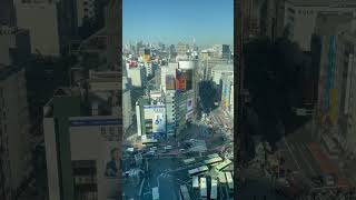 Shibuya view #shibuyacrossing #shibuya #traveljapan #tokyo #fyp