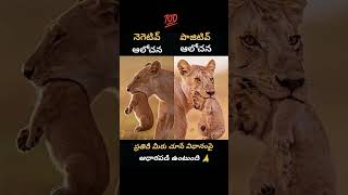 మీ చూసే చూపుబట్టి మీ ఆలోచన ఉంటుంది🙏💯#youtubeshorts #trending #viralvideo #telugu #animallover