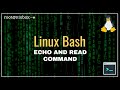 How to Use Echo and Read Command in Bash
