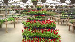 Shelmerdine Garden Center | Mother's Day Gift Ideas