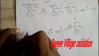 Baeyer villiger oxidation mechanism