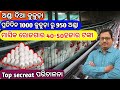 Poultry Farming ଅଣ୍ଡା ଦିଆ କୁକୁଡ଼ା ମାସକୁ ରୋଜଗାର 40-50 ହଜାର