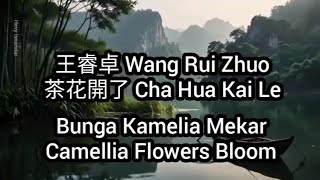 王睿卓 Wang Rui Zhuo : 茶花開了 Cha Hua Kai Le (subtitle Indonesia English Pinyin)