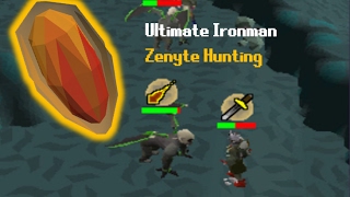 Ultimate Ironman - Zenyte Hunting!