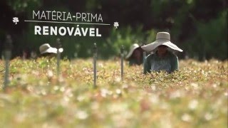 International Paper - Vídeo Institucional