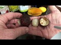 How to Eat Rambutan Fruit The Easy Way