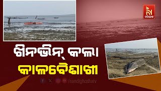 Kala Baisakhi Wreaks Havoc on Krushnaprasad's Chilika Lake | Nandighosha TV