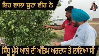 Sidhu Moose Wale ਦੀ ਅੰਤਿਮ ਅਰਦਾਸ ਤੇ ਇਹ ਬੂਟਾ ਲਾਇਆ ਸੀ ਵੀਰ ਨੇ