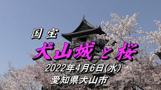 2022.4.6(水) 『国宝 犬山城 と 桜満開』今年も「犬山城天守閣」から桜満開展望ビデオ 【愛知県犬山市】Inuyama Castle \u0026 SAKURA