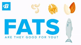 Are Fats Good For You? | Foundations of Fitness Nutrition
