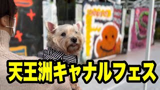 『天王洲キャナルフェス2021秋』に行ったよ＃ウェスティ＃westie