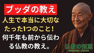 【ブッダの教え】人生で本当に大切なたった1つのこと！何千年も前から伝わる仏教の教え。