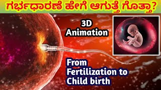 ಗರ್ಭಧಾರಣೆ ಹೇಗೆ ಆಗುತ್ತೆ ಗೊತ್ತಾ?| How pregnancy occurs| fertilization to child birth| Pregnancy video