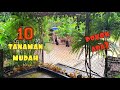 ✅️ 10 TANAMAN MUDAH TUMBUH || TANAM ATAS SIMEN TEPI RUMAH