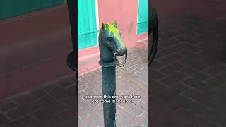 Horse hitching posts in New Orleans