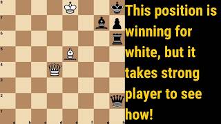 This study is not easy, white wins