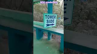 Mini sundorbon,👍মিনি সুন্দর বন অনেক সুন্দর #beautiful #vlog #short