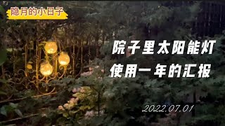 院子养花：花园种植！院子里太阳能灯，使用一年汇报！｜隐月的小日子