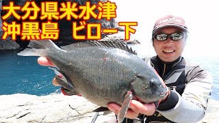 大分県米水津沖黒島ビロー下で釣ってみた