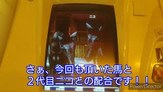 [スタホR] ココニモ誕生 ３歳戦皐月賞→セントライト記念！！