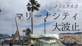 【和歌山インター店】9/21 (火) マリーナシティ大波止リアルタイム　和歌山釣果見聞録