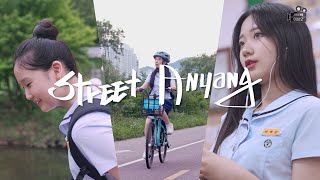 ✨Street Anyang ｜ 안양시 '경관조명' 스팟 영상｜빛솔 X안양시 ✨