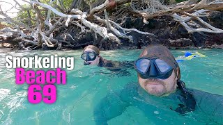 Where to Snorkel on Big Island Guide: Beach 69