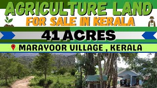 MARAYOOR : 41 ACRES AGRICULTURE FARMLAND FOR SALE | UDUMALAIPET | KERALA - TAMIL NADU | Landsinindia