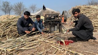 Traditional sugar making process || How to make jaggery powder in village