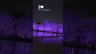 北京蓝色港湾夜色 2024