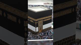 ওমরা হজ্জ যাত্রী #umrah #hajj #umrahhaji #timenews