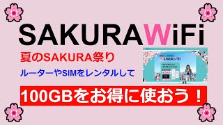 【SAKURAWiFi】夏の桜祭りでお得に100GBのルーターやSIMをレンタルしよう！