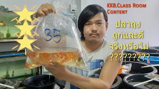 #CONTENT #ปลาทอง ปี2 |EP.29| ปลารวมราคาถูกและดีจริงหรือไม่???