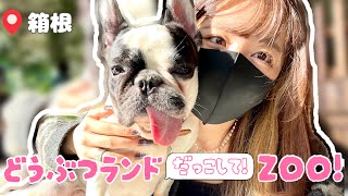 【だっこして！ZOO！】動物好きにはたまらない幸せ空間に行ってきました👩🏻‍🦰🚗【vlog】