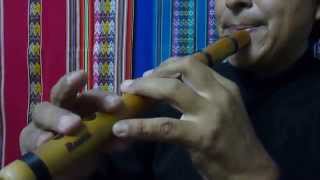 Quenacho Tuned D (RE) Natural Bamboo Valicha Song