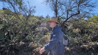 Wandern auf Teneriffa: Der Mandelbäume-Weg bei Santiago del Teide