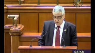 17.03.2015 - Declaratie politica - Florica Ica Calota, deputat PC-PLR.