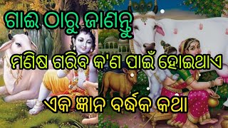 ଗାଈ ଠାରୁ ଜାଣନ୍ତୁ ମଣିଷ ଗରିବ କ'ଣ ପାଇଁ ହୋଇଥାଏ??ଏକ ଜ୍ଞାନ ବର୍ଦ୍ଧକ କଥା//ନିଶ୍ଚୟ ଶୁଣନ୍ତୁ।