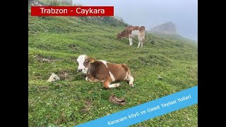 Trabzon, Caykara- Karacam ve Gaset Yaylasi