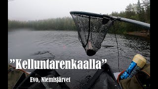 Kelluntarenkaalla (Evo, Niemisjärvet)