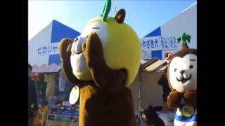 みやざき犬　ちょこみやディスコ　2013 11 23