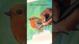 How to draw a realistic Robin Bird with Derwent Lightfast Colored Pencils, Tutorial #shorts