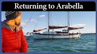 Alone in the Harbor for 100 Days, Returning to Arabella - Ep 320 - Journey of a Wooden Boat